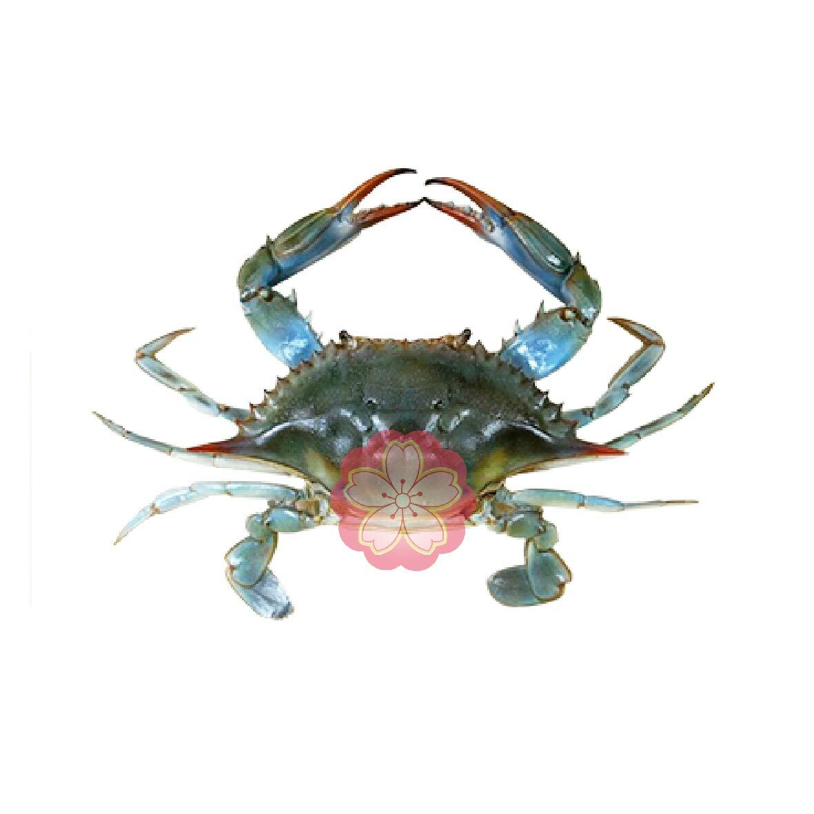 FZ-0070 SOFT SHELL CRAB SIZE 60-90+- 软壳蟹 PER PCS – Fudo