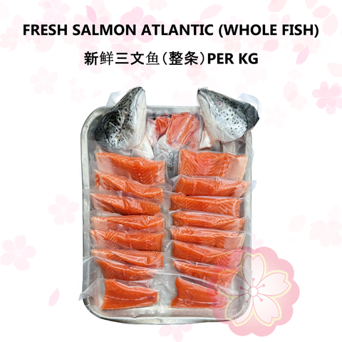 FRESH SALMON ATLANTIC (WHOLE FISH) 新鲜三文鱼（整条）PER KG