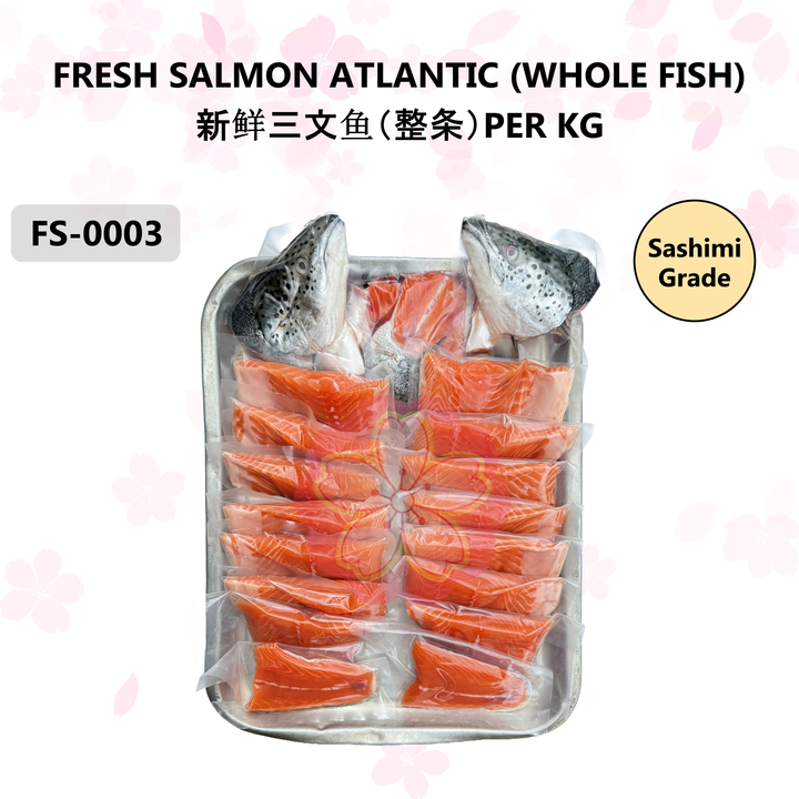 FS-0003 FRESH SALMON ATLANTIC (WHOLE FISH)  新鲜三文鱼（整条）PER KG
