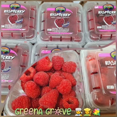 Mexico Premium Fresh Raspberries.jpeg