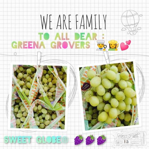 Australia Premium Green Seedless Grapes (Sweet Globe).jpeg