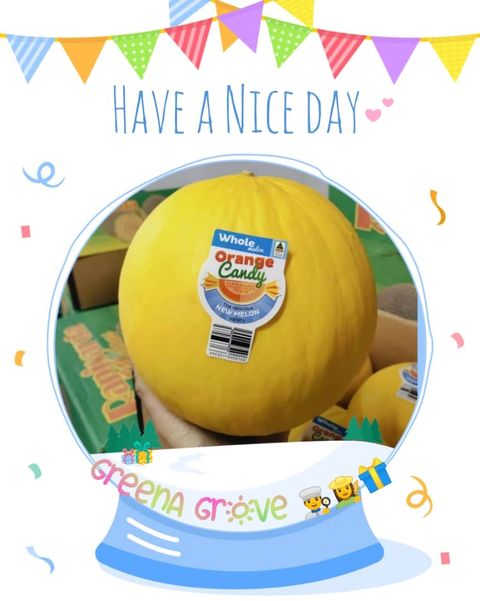 Australia Premium Fresh Quality Orange Candy Melon.jpeg