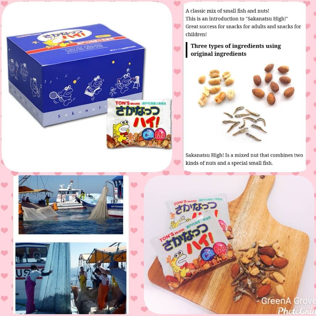 Japan Premium Sakanatsu High! Snacks.jpeg