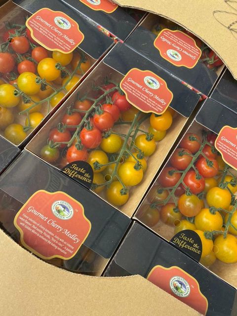 Pahang Premium Gourmet Cherry Medley Tomatoes.jpeg