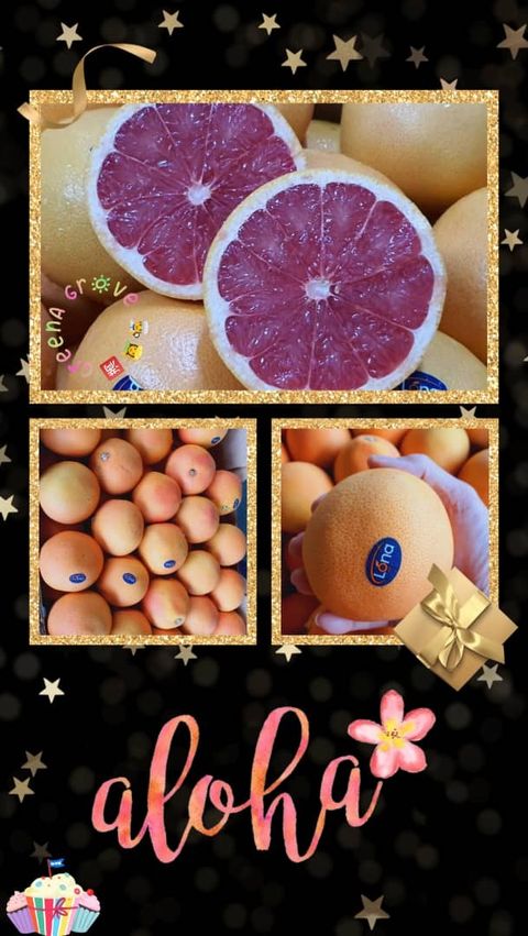 South Africa Premium Grapefruits.jpeg