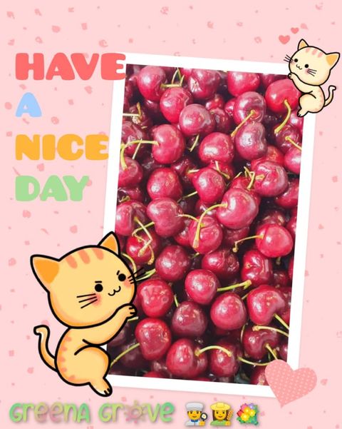 USA Premium Cherries (Chelan).jpeg