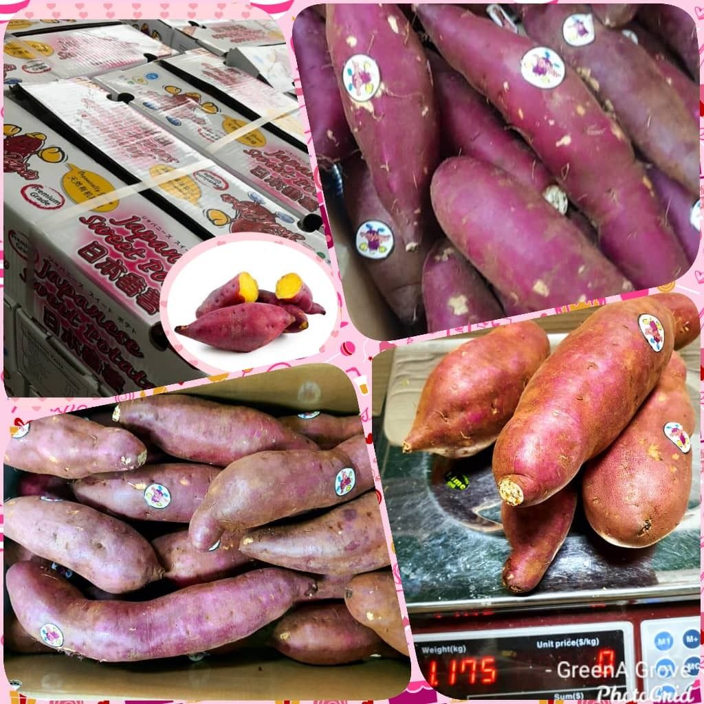 Japan Variety (Origin Vietnam) Fresh Yellow Sweet Potatoes ~ Organically Grown Pesticide-Free.jpeg