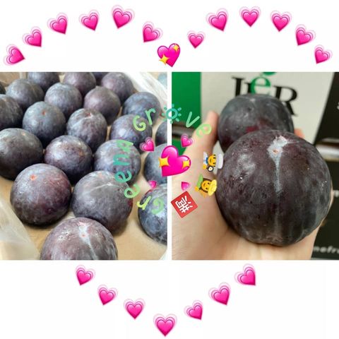 Japan Variety (Origin South Africa) Premium Angelino Plums.jpeg