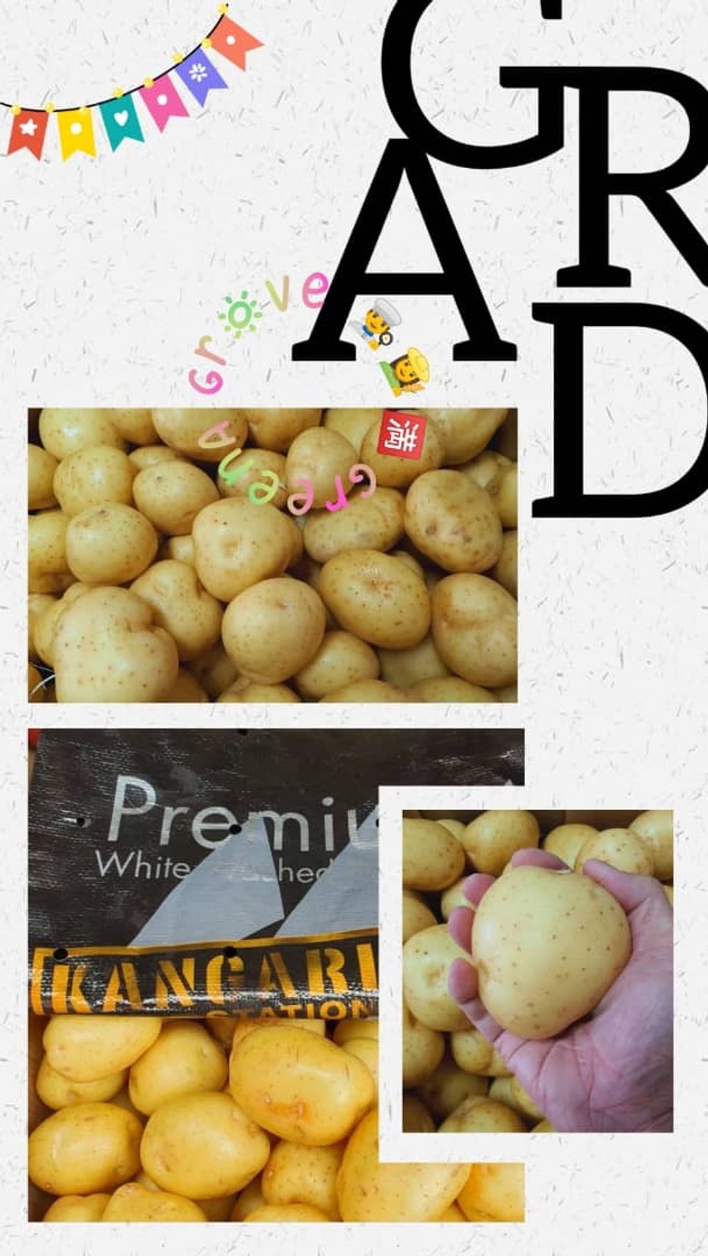 Australia Premium White Potatoes (Nadine).jpeg