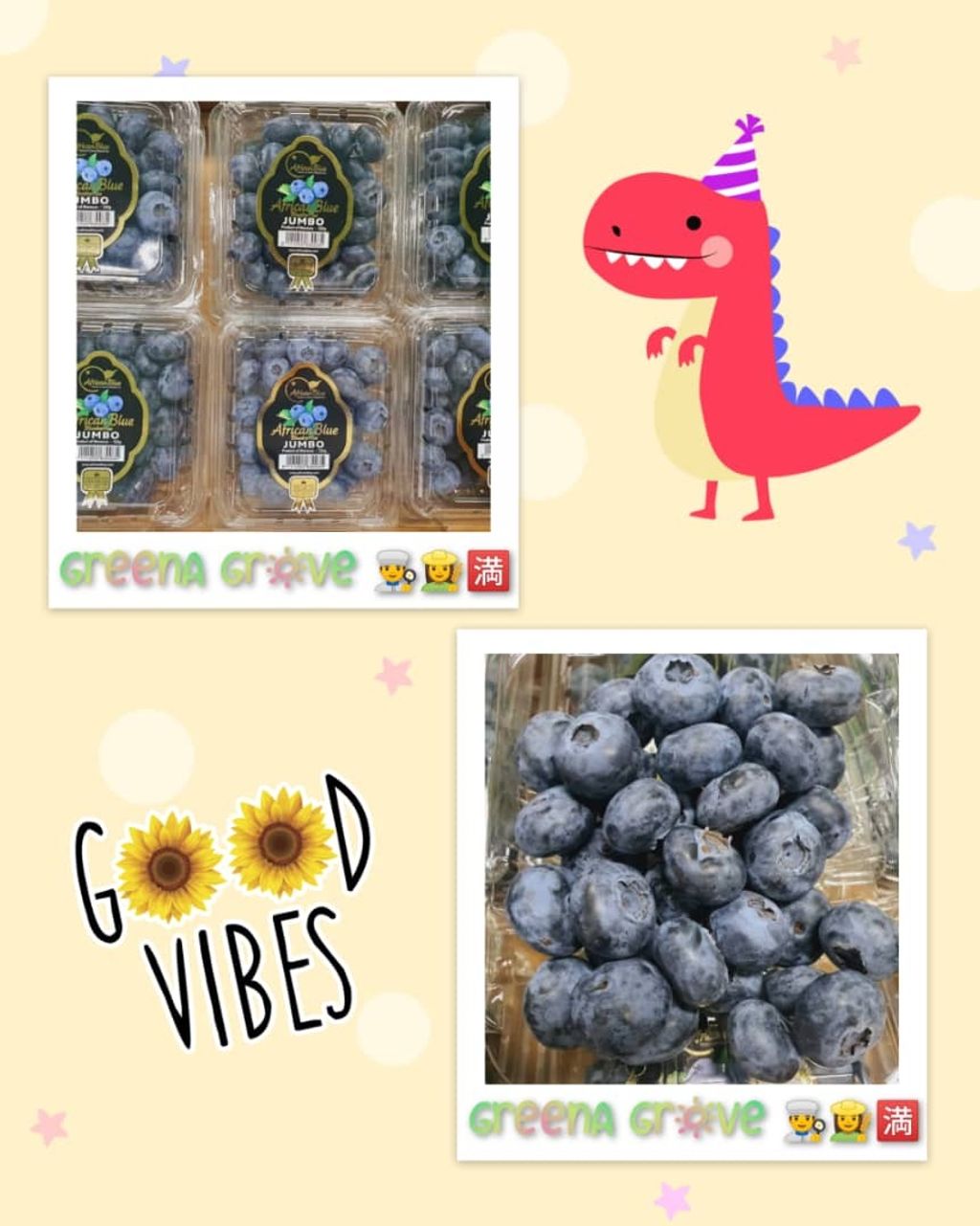 African Blue Morocco's Finest Blueberries.jpeg