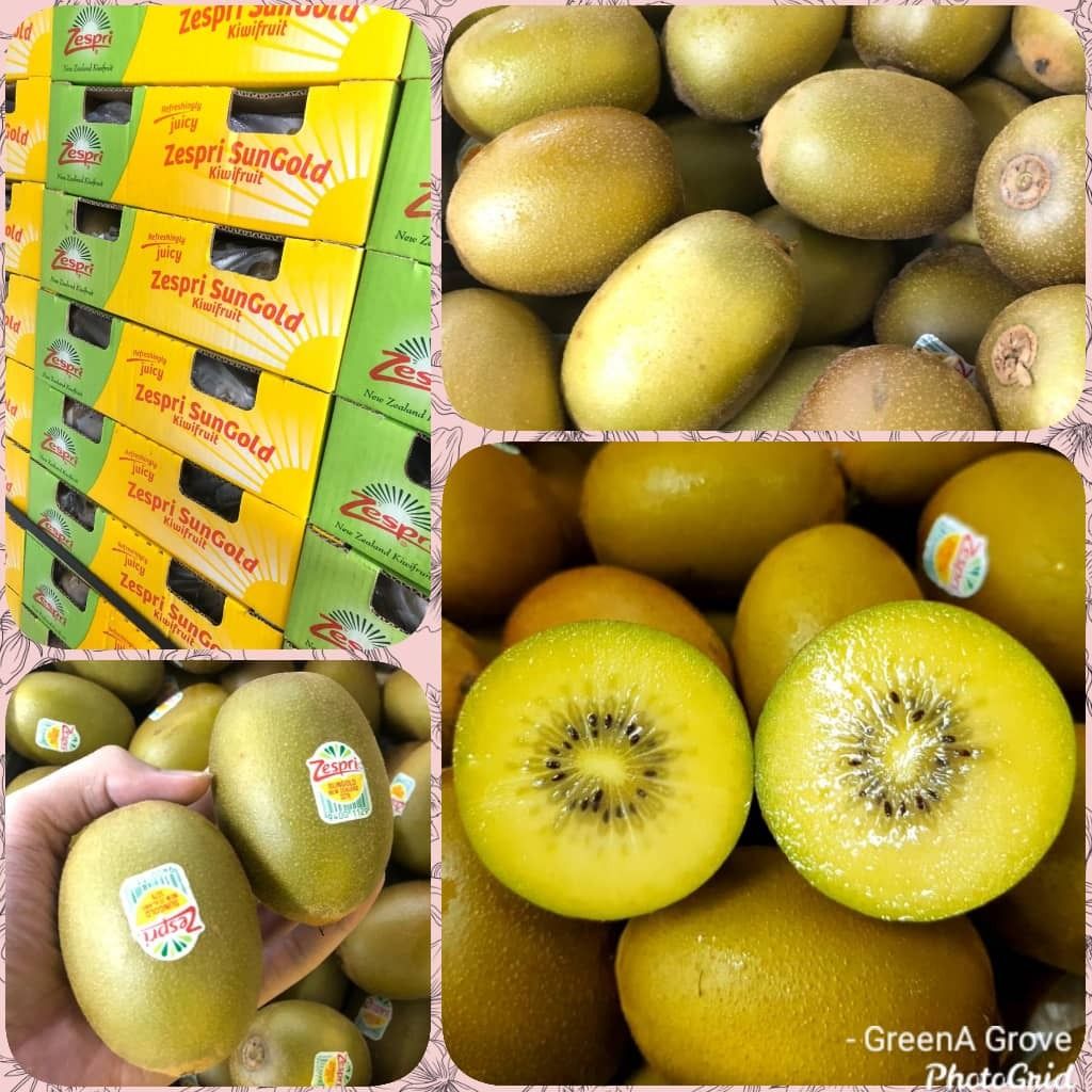 New Zealand Premium Sun Gold Kiwi.jpeg