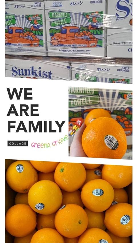 USA Premium Barnfield Powell Sunkist Oranges (Premium Lane Late Navel).jpeg