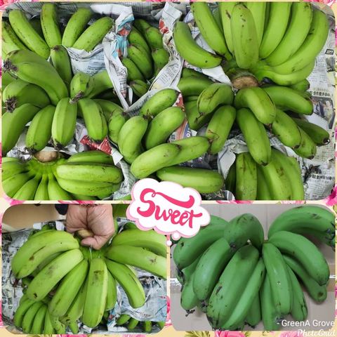 Fresh from Farm Local Bananas (Berangan).jpeg