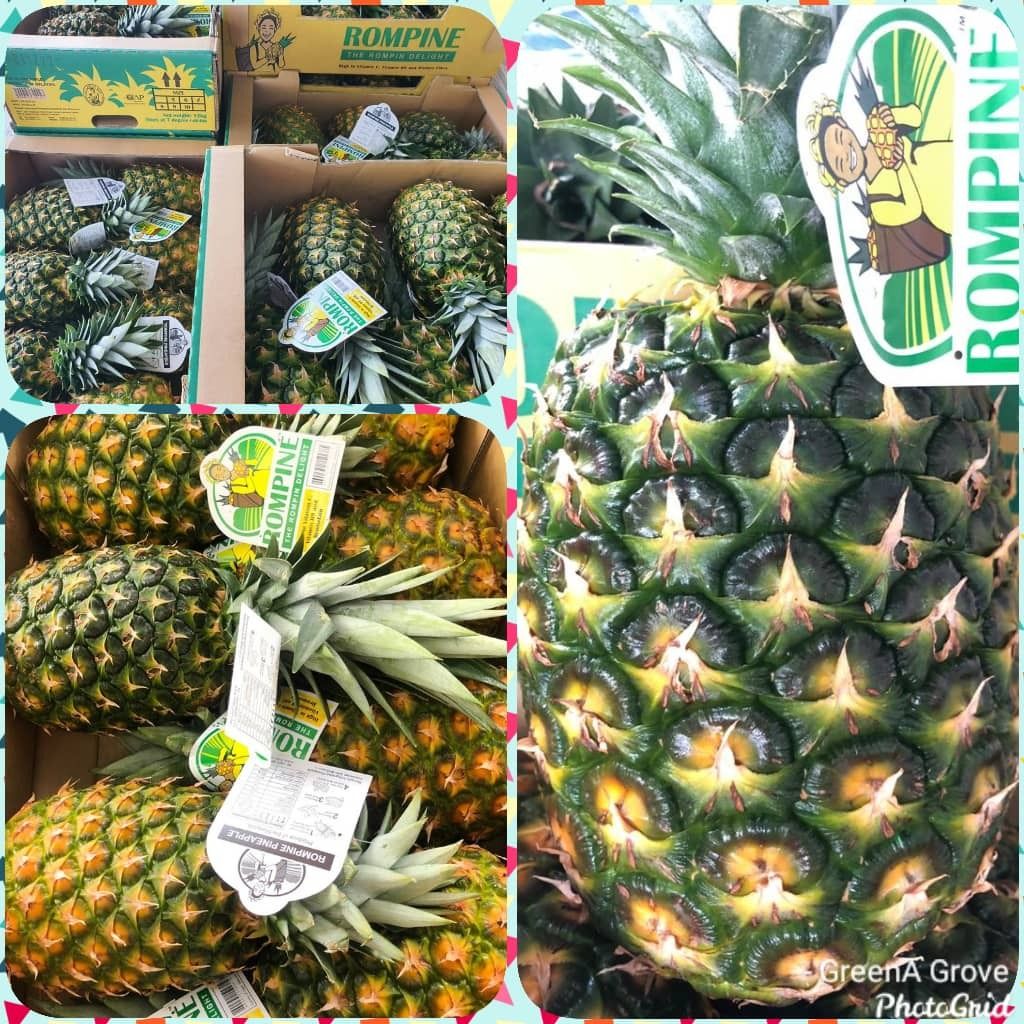 Pineapple rompine Thailand Rompine