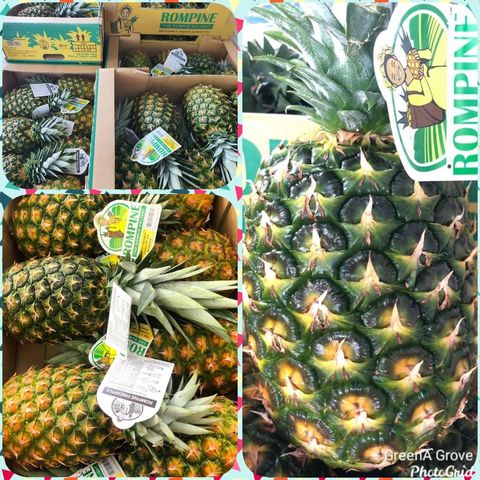 Pahang Premium Pineapple MD2 (Rompine).jpeg