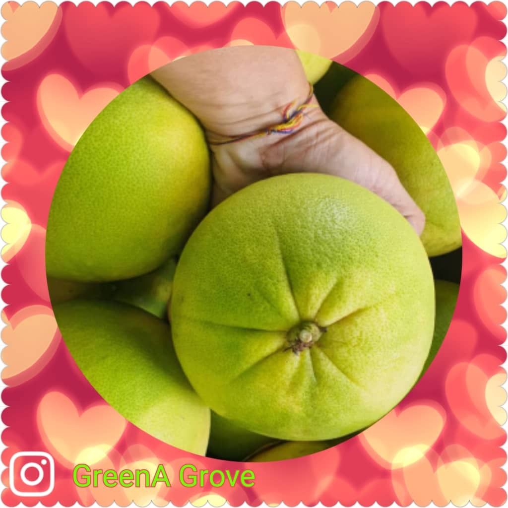 Ipoh Premium Tambun Pomelo.jpeg