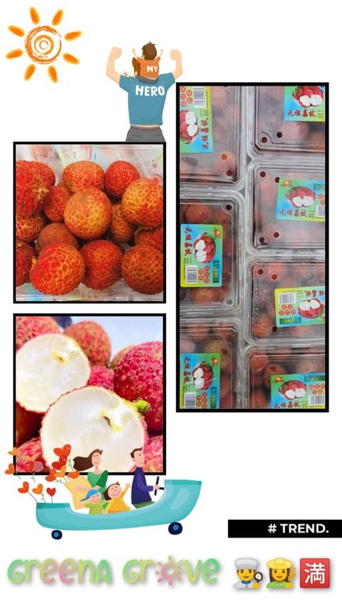 China Fresh Sweet Premium Seedless Lychee 中国无核荔枝.jpeg
