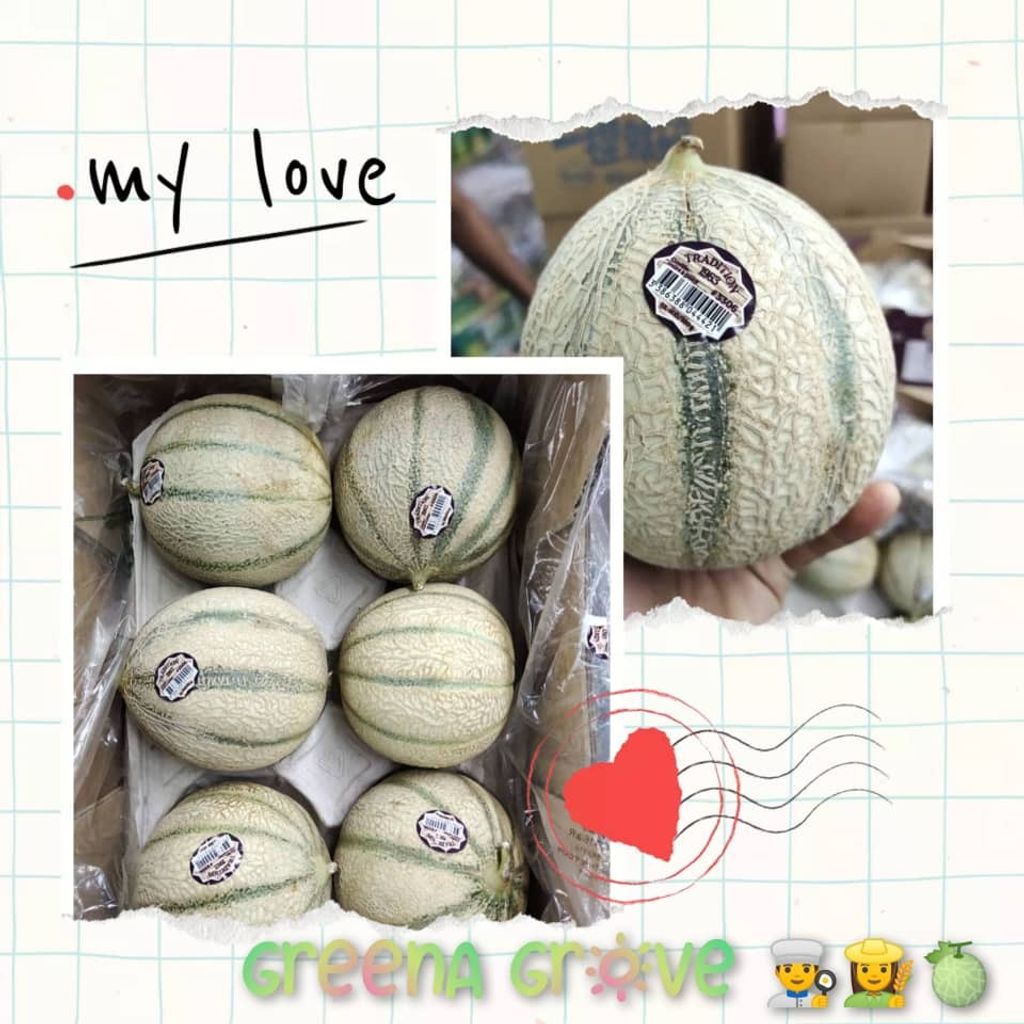 Spanish Premium Melon.jpeg