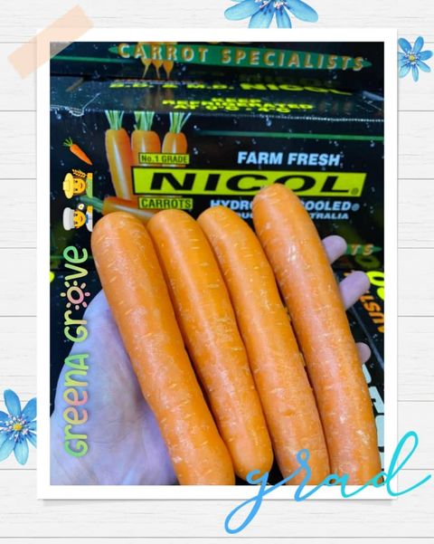 Australia Premium Fresh Carrots.jpeg