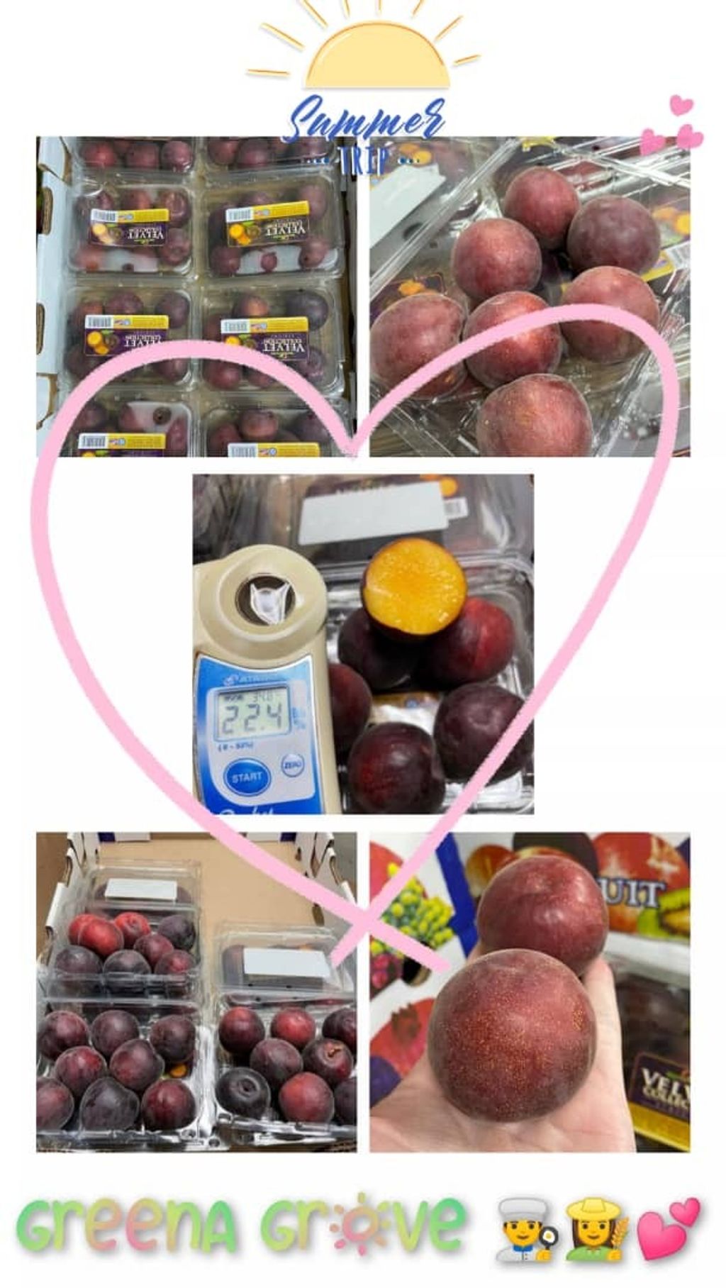 USA Premium Black Velvet  Apricots.jpeg