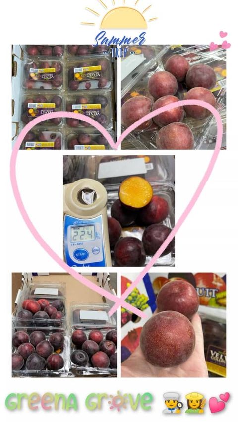 USA Premium Black Velvet  Apricots.jpeg