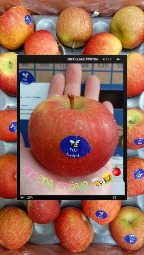 South Africa Premium Red Honey Fuji Apples 蜜糖苹果.jpeg