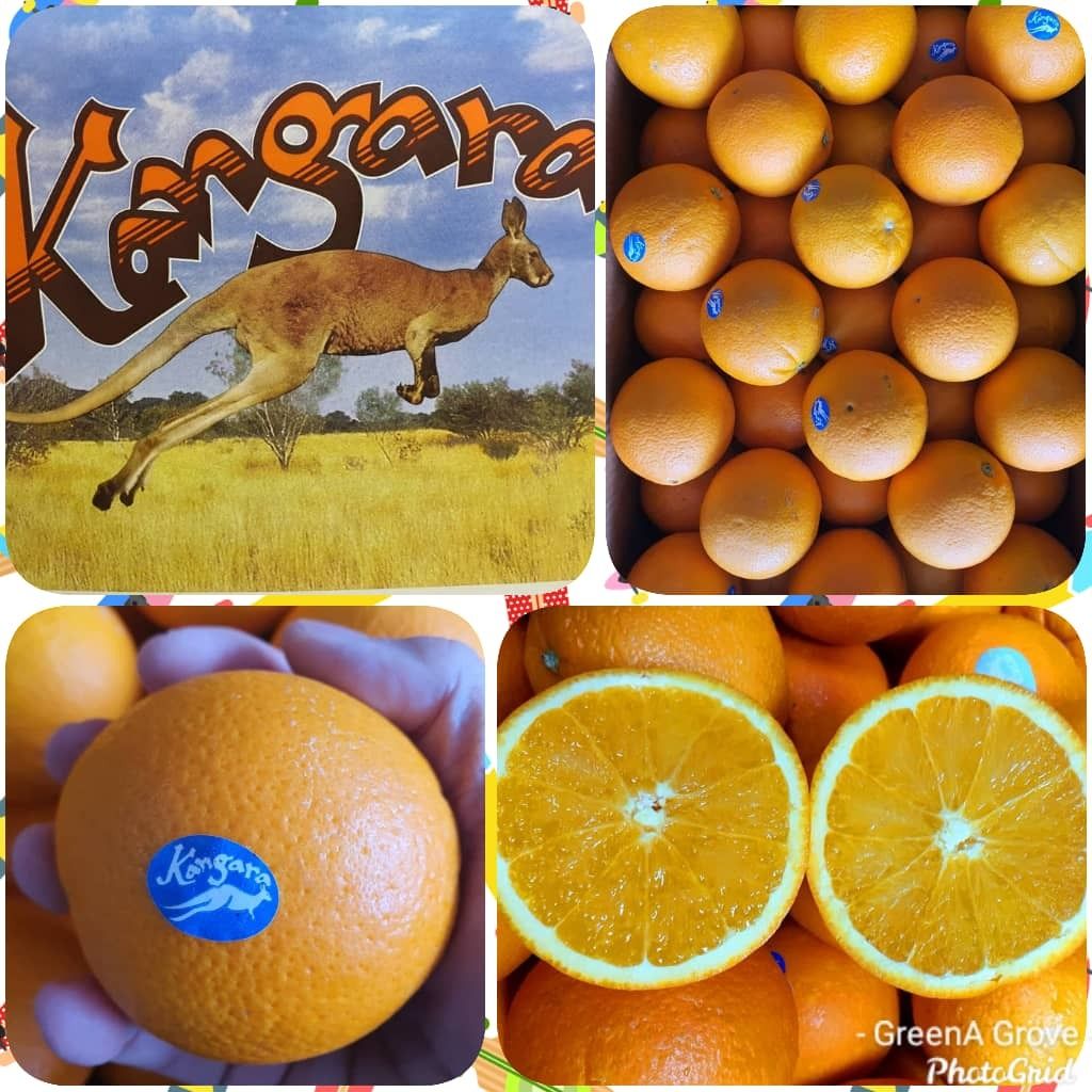 Australia Premium Sweet Navel Oranges.jpeg