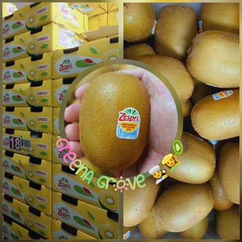 New Zealand Premium Sun Gold Kiwi (Jumbo).jpeg