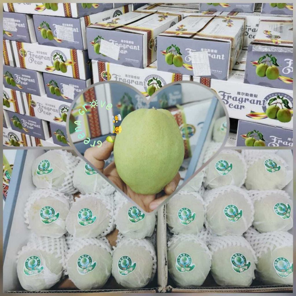 Xin Jiang Premium Fragrant Pears 新疆库尔勒香梨 .jpeg