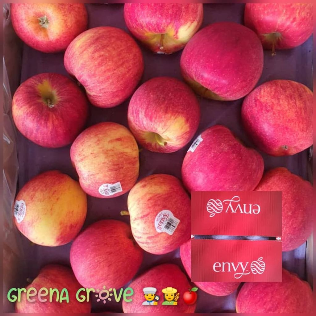 New Zealand Premium Envy Apples (Scilate).jpeg