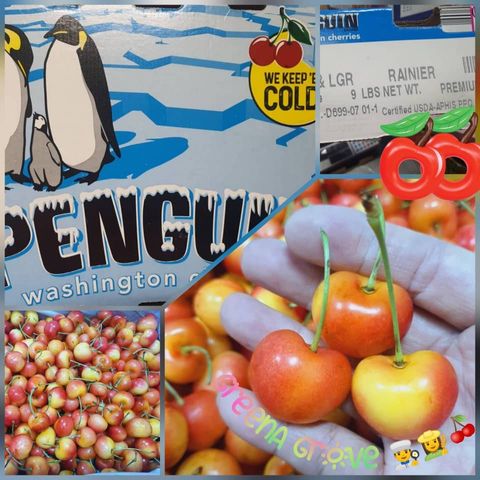 USA Premium Fresh White Cherries (Rainier).jpeg