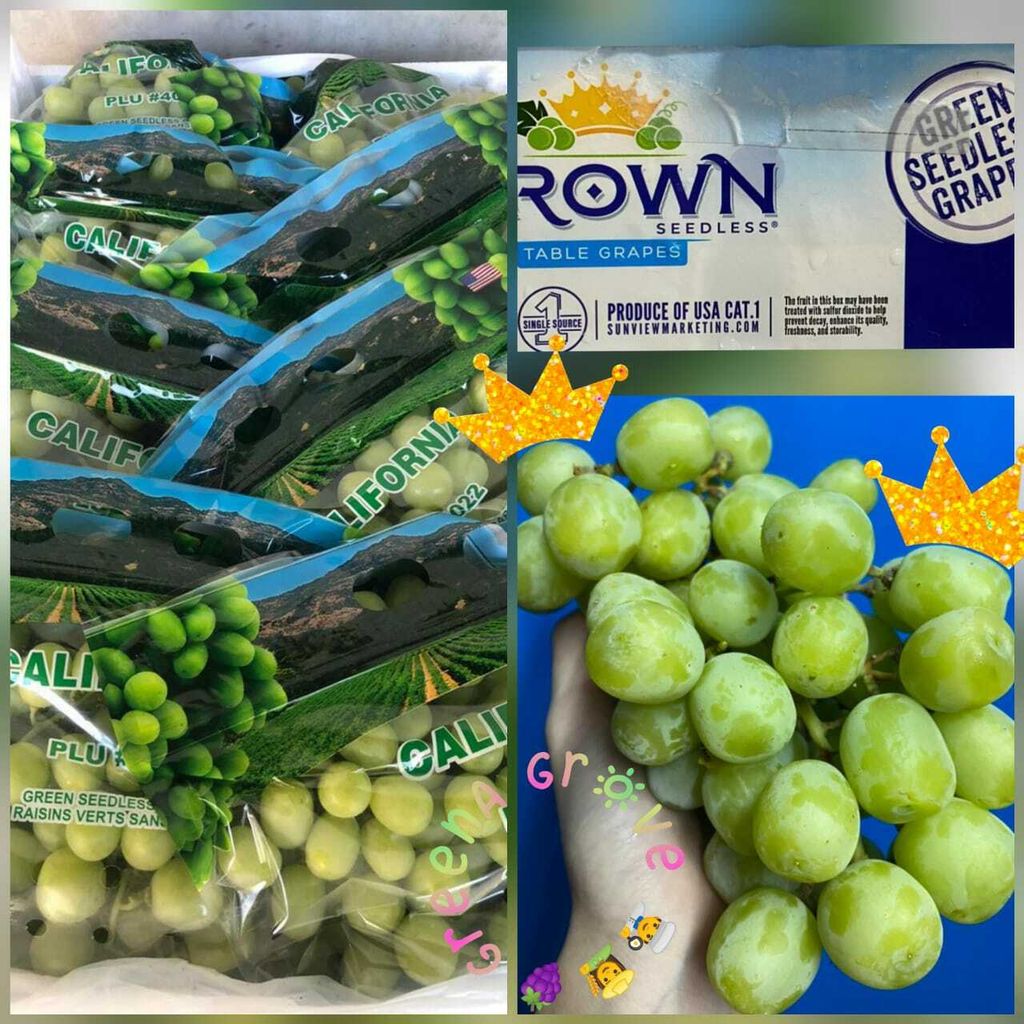 USA Premium Sugar Crunch Seedless Green Grapes.jpeg