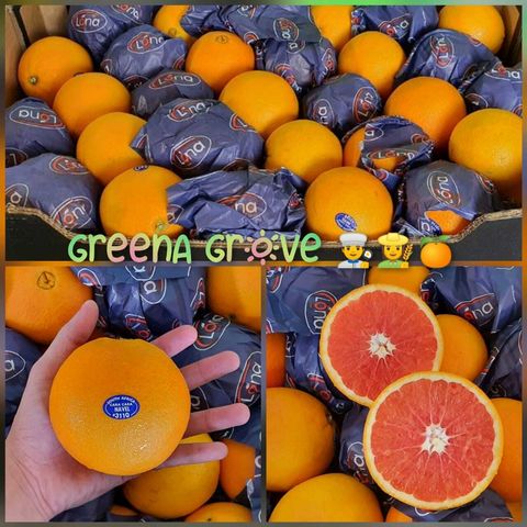 South Africa Premium Cara Cara Navel Oranges.jpeg