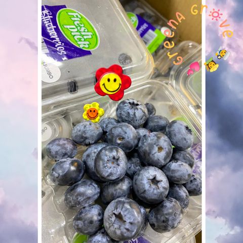African Zimbabwe's Finest Blueberries.jpeg