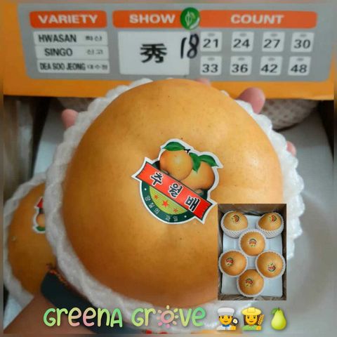 Korea Variety Premium Fresh Singo Pear.jpeg