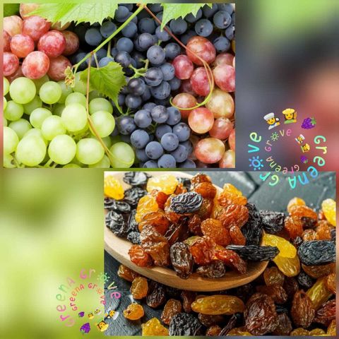 USA Sunview Seedless Medley Grapes Raisins.jpeg