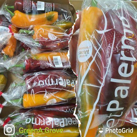 Pahang Premium Sweet Palermo ® Chilli Peppers (packet).jpeg
