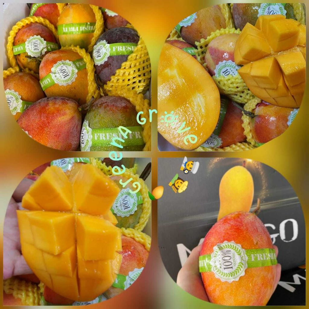 China Premium Rainbow Mangoes.jpeg