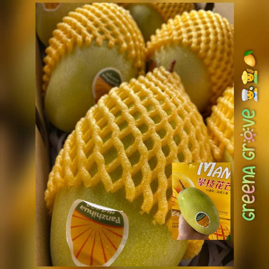 China Premium 100% Naturally Grown Mango Keitt 攀枝花凯特芒果.jpeg
