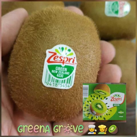 New Zealand Premium Sweet Green Kiwi.jpeg