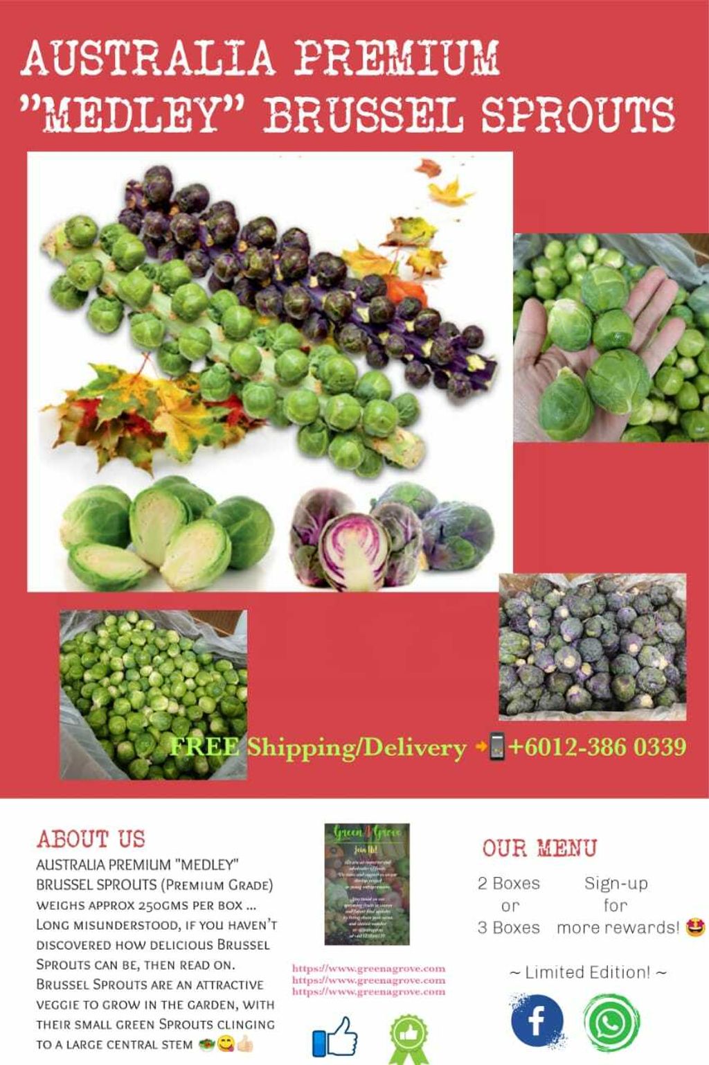 Australia Premium Medley Brussel Sprouts 澳洲球芽甘蓝.jpeg