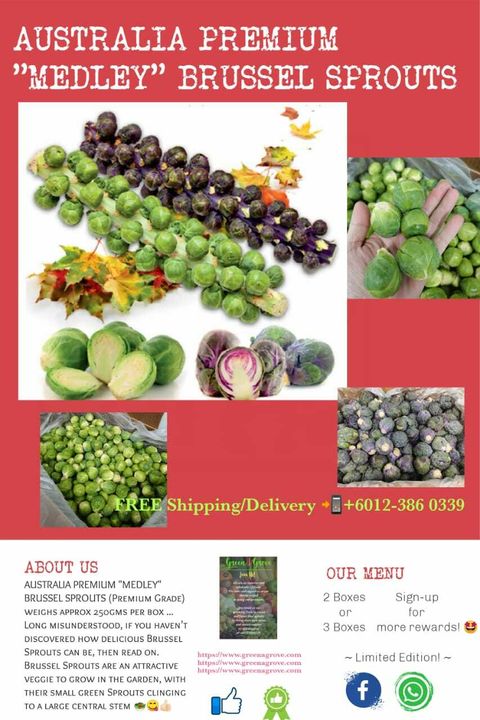 Australia Premium Medley Brussel Sprouts 澳洲球芽甘蓝.jpeg