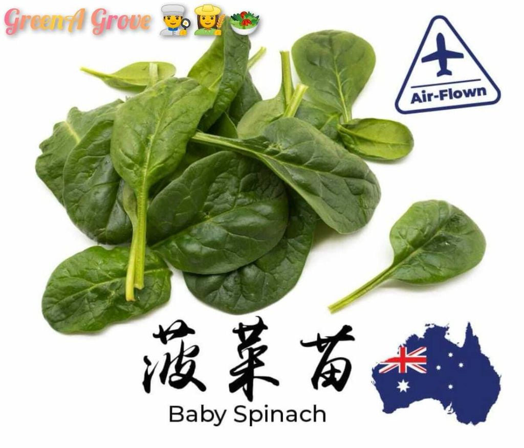 Air-Flown Australia Premium Fresh Baby Spinach 澳大利亚菠菜苗.jpeg