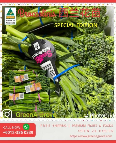 Air-Flown Australia Premium Fresh Quality Broccolinis 西兰花苗.jpeg