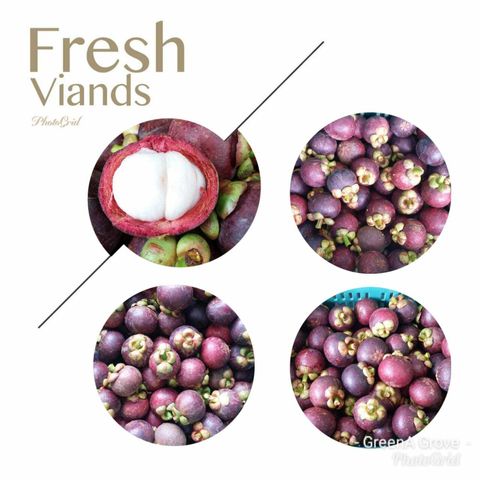 Thailand Premium Mangosteens.jpeg