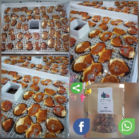 Japan Variety Premium Highland Organically-Grown + Pesticide-Free Dried Ichijku Red Figs (Pre-Order).jpeg