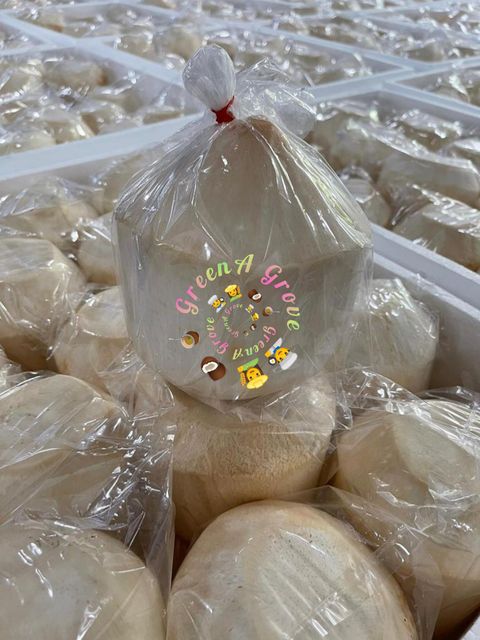 Thailand Premium Original Fresh Fragrant Coconut 泰国香椰.jpeg