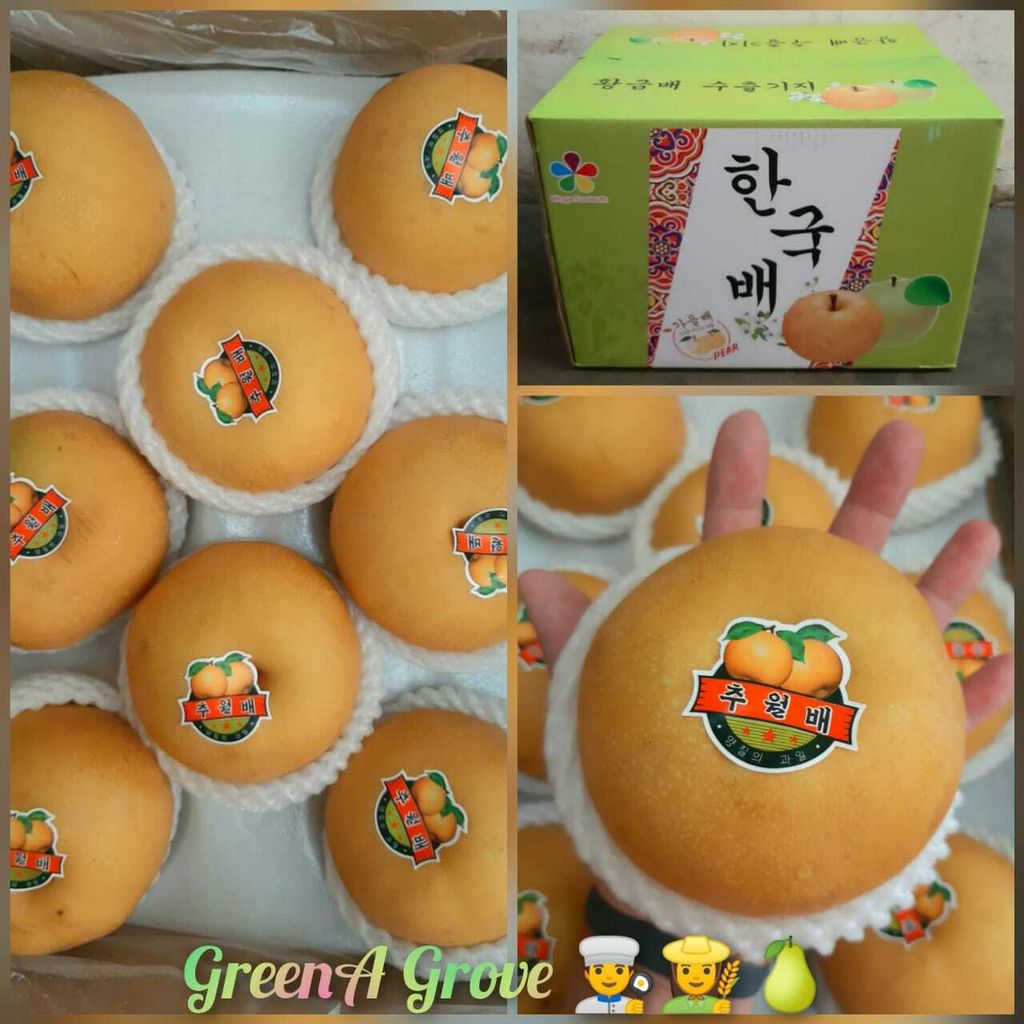 Korea Variety Premium Fresh Singo Pear (350-400gms).jpeg
