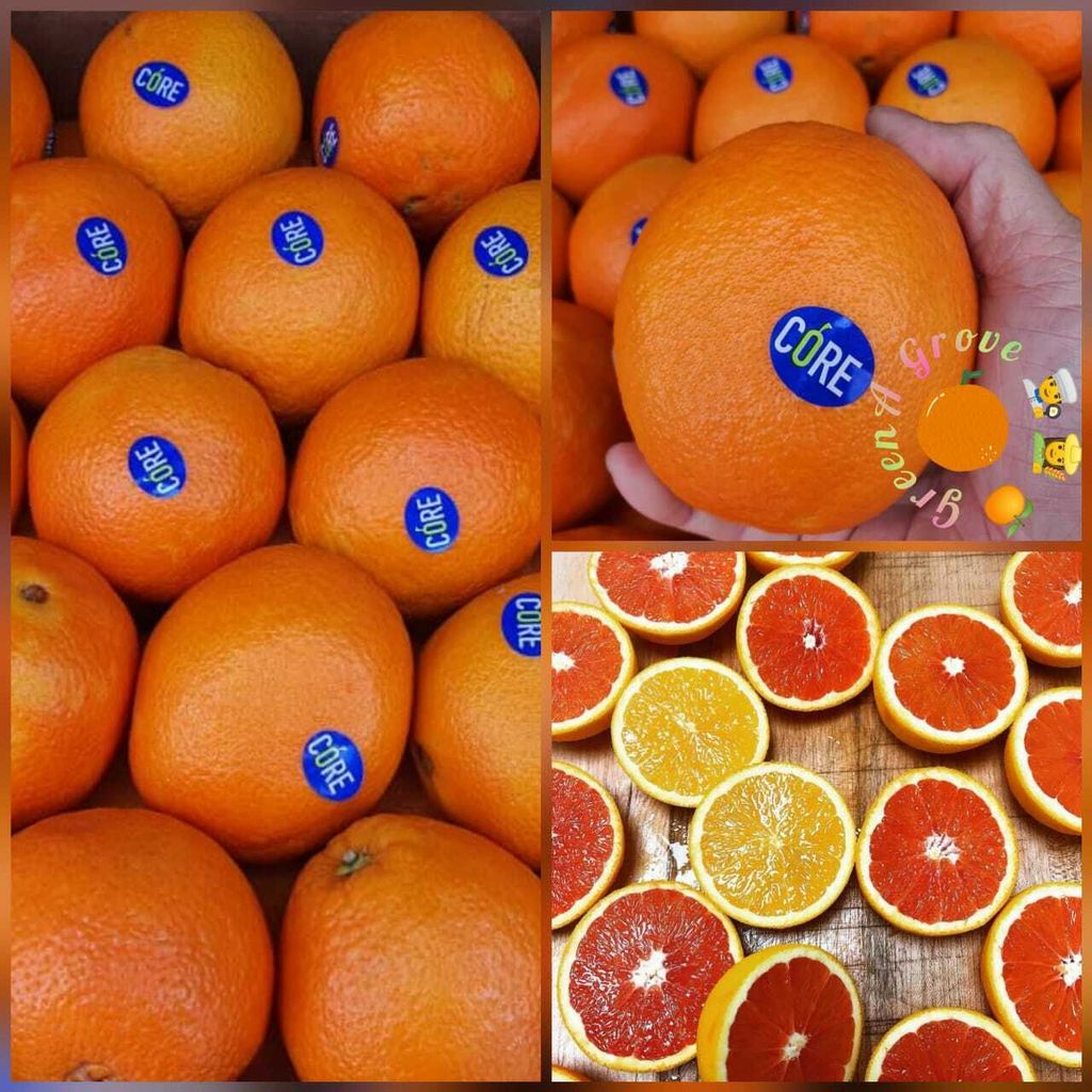 South Africa Premium Cara Cara Navel Oranges (Size 2XL).jpeg