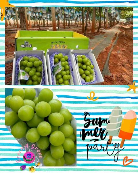 Air-Flown Japan Variety Premium Natural Fresh Shine Muscat Grapes 阳光玫瑰葡萄.jpeg